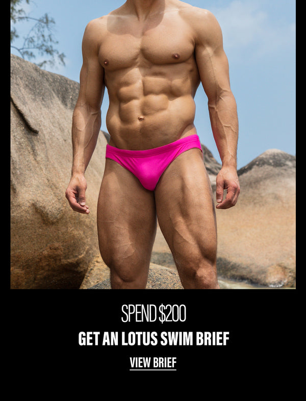 Todd Sanfield Collection