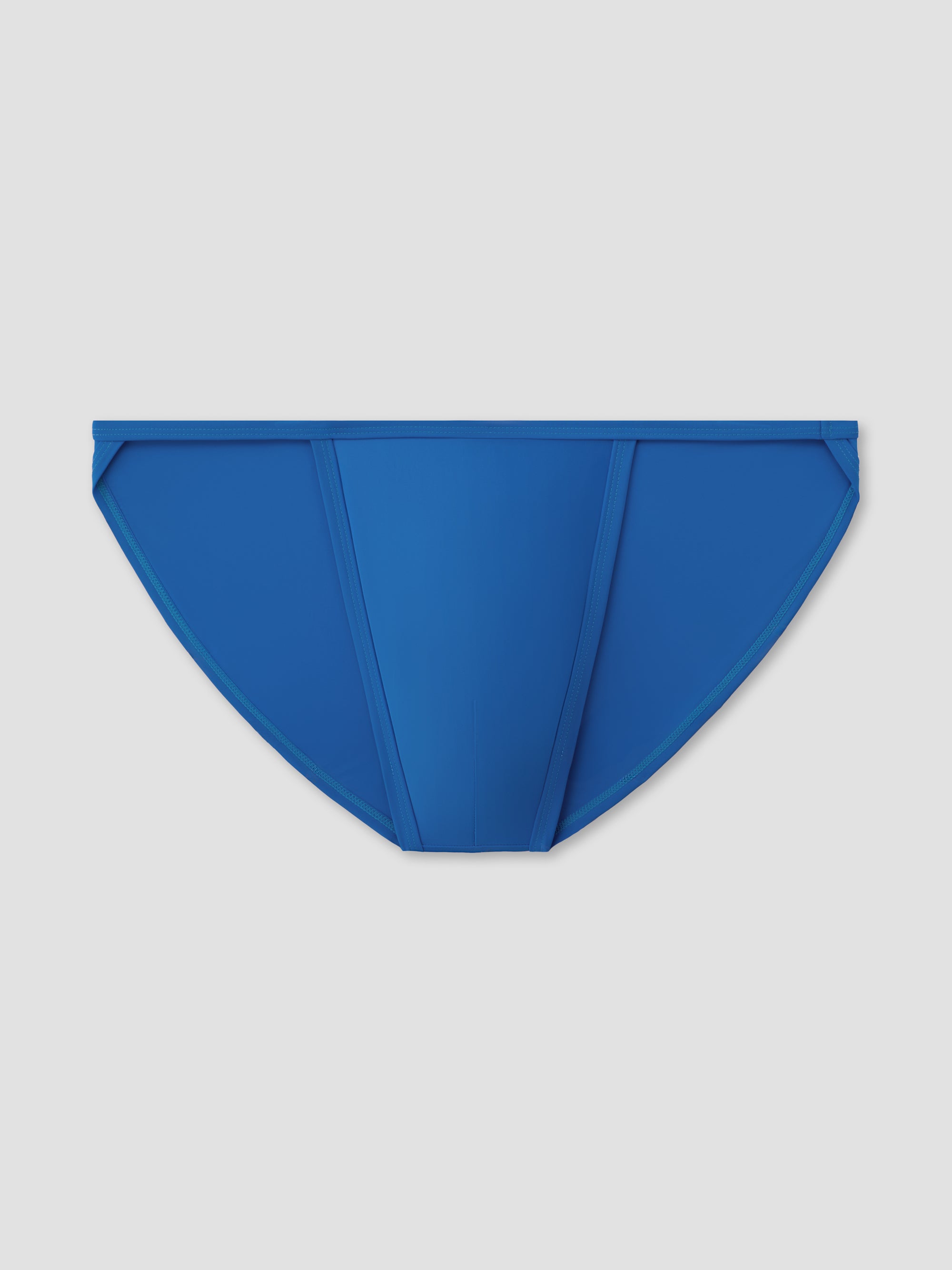 Electric Endurance Brief