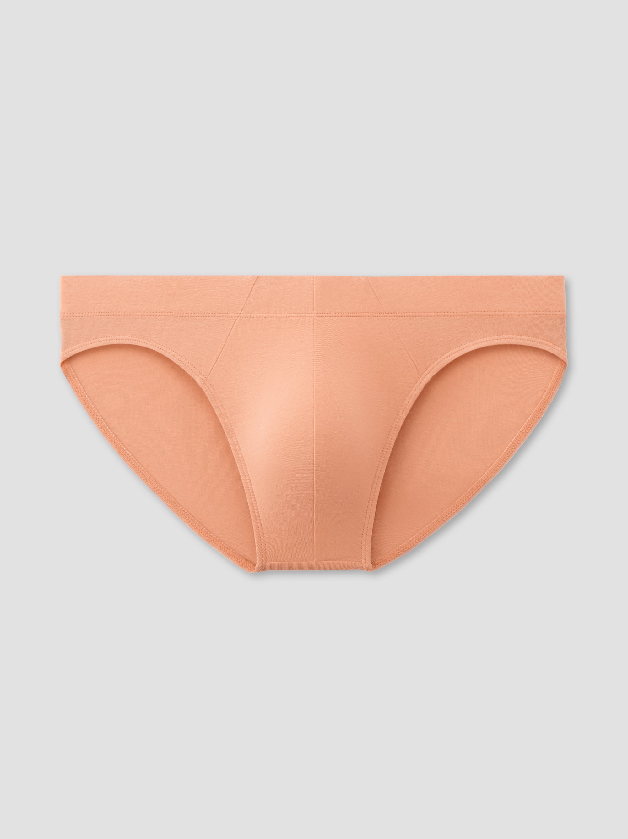 Bermuda Brief