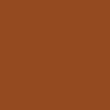 Rust Bikini Brief
