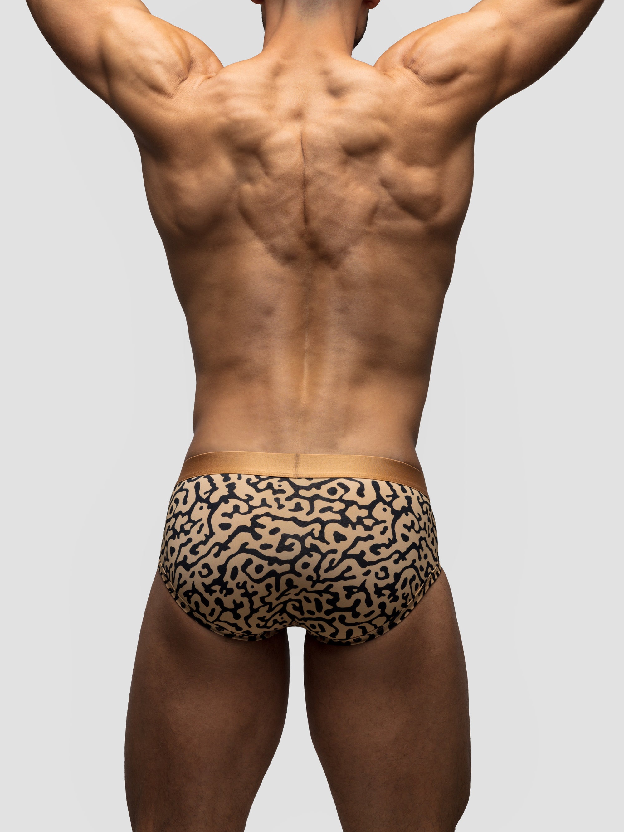 Dopamine Mid-Rise Brief
