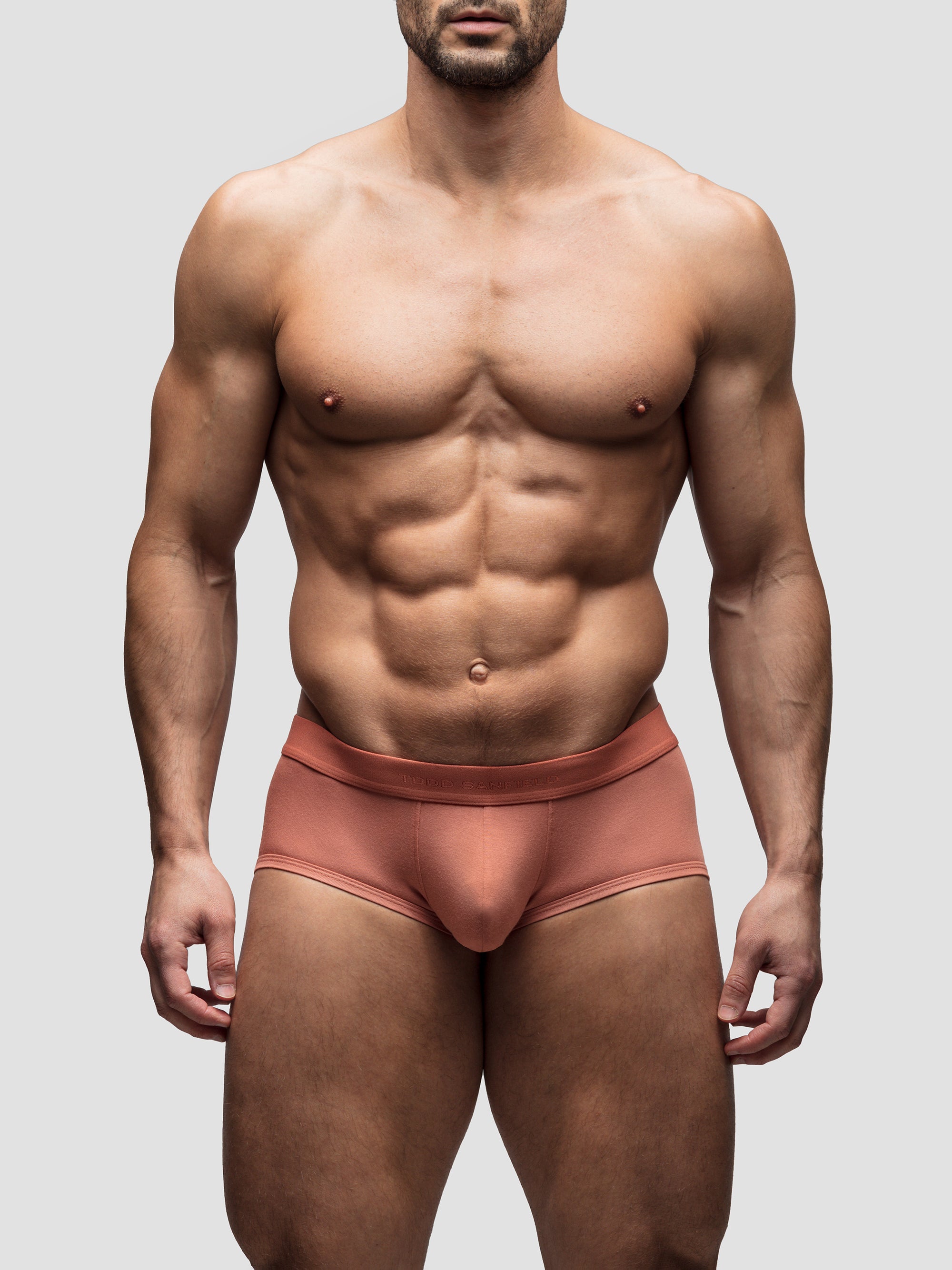 Terracotta Mid-Rise Brief