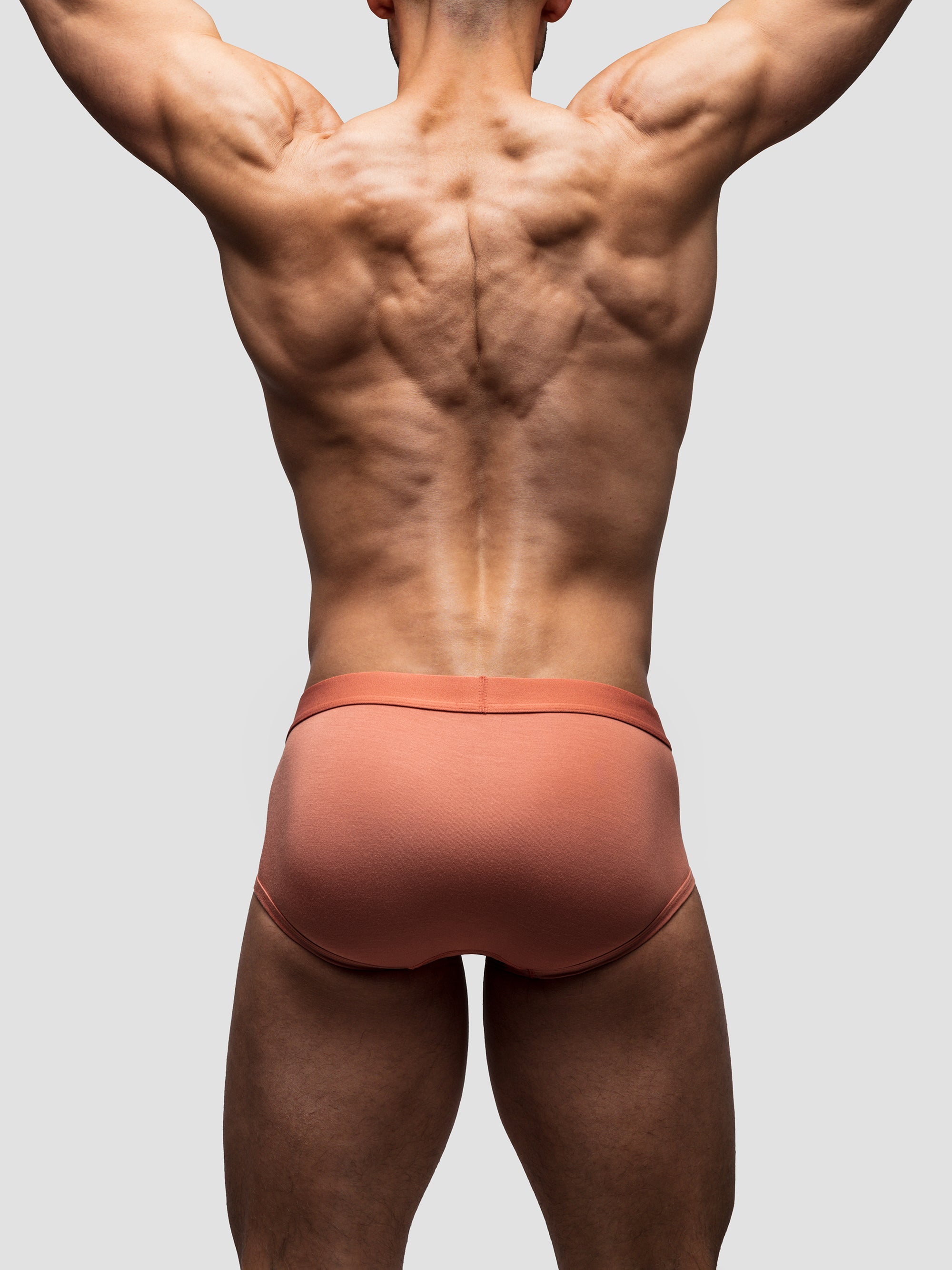 Terracotta Mid-Rise Brief
