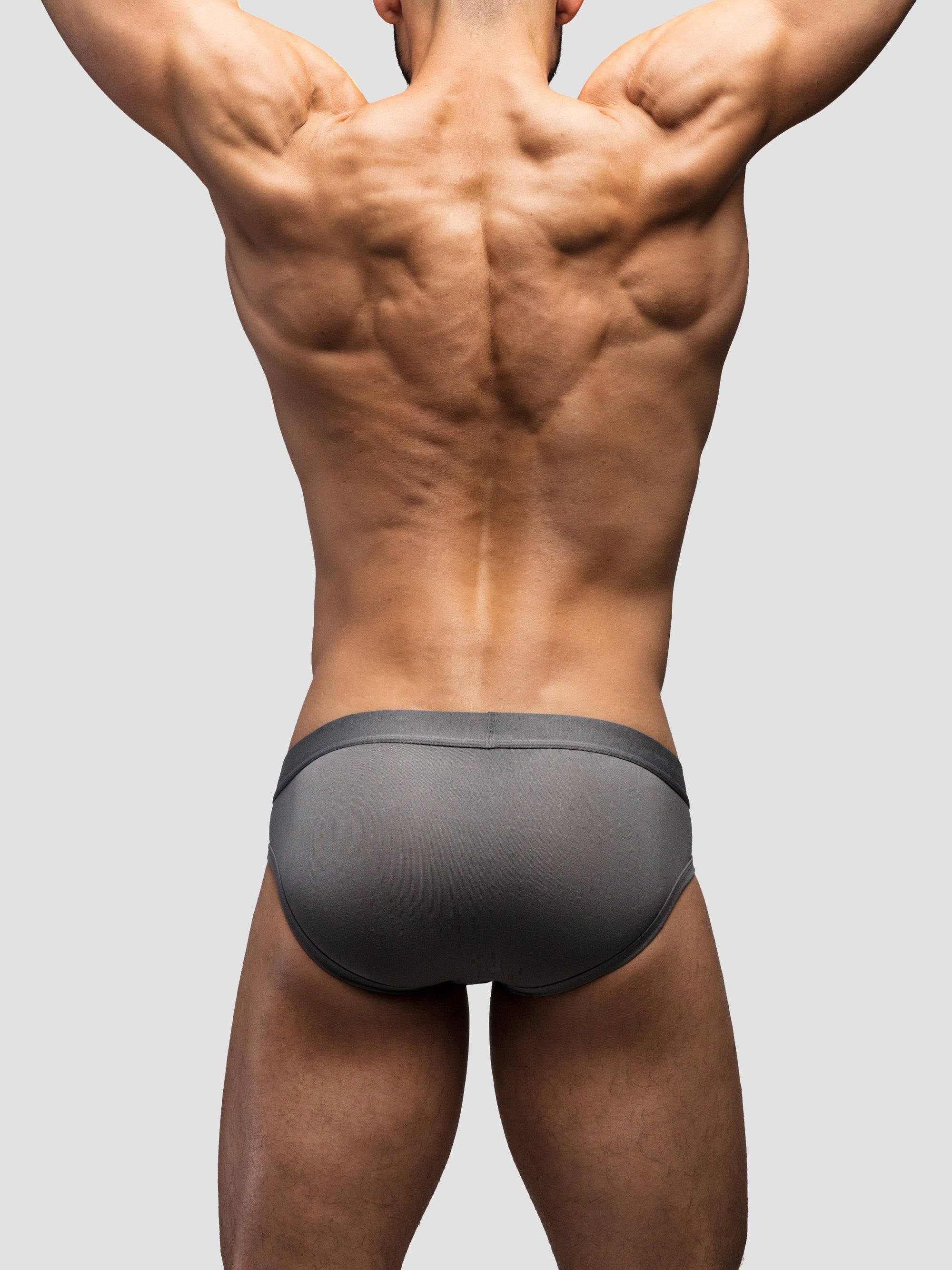 Charcoal Brief