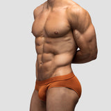 Rust Brief