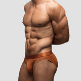 Sin Brief