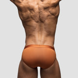 Sin Brief