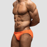 Koi | Shallow Swim Brief